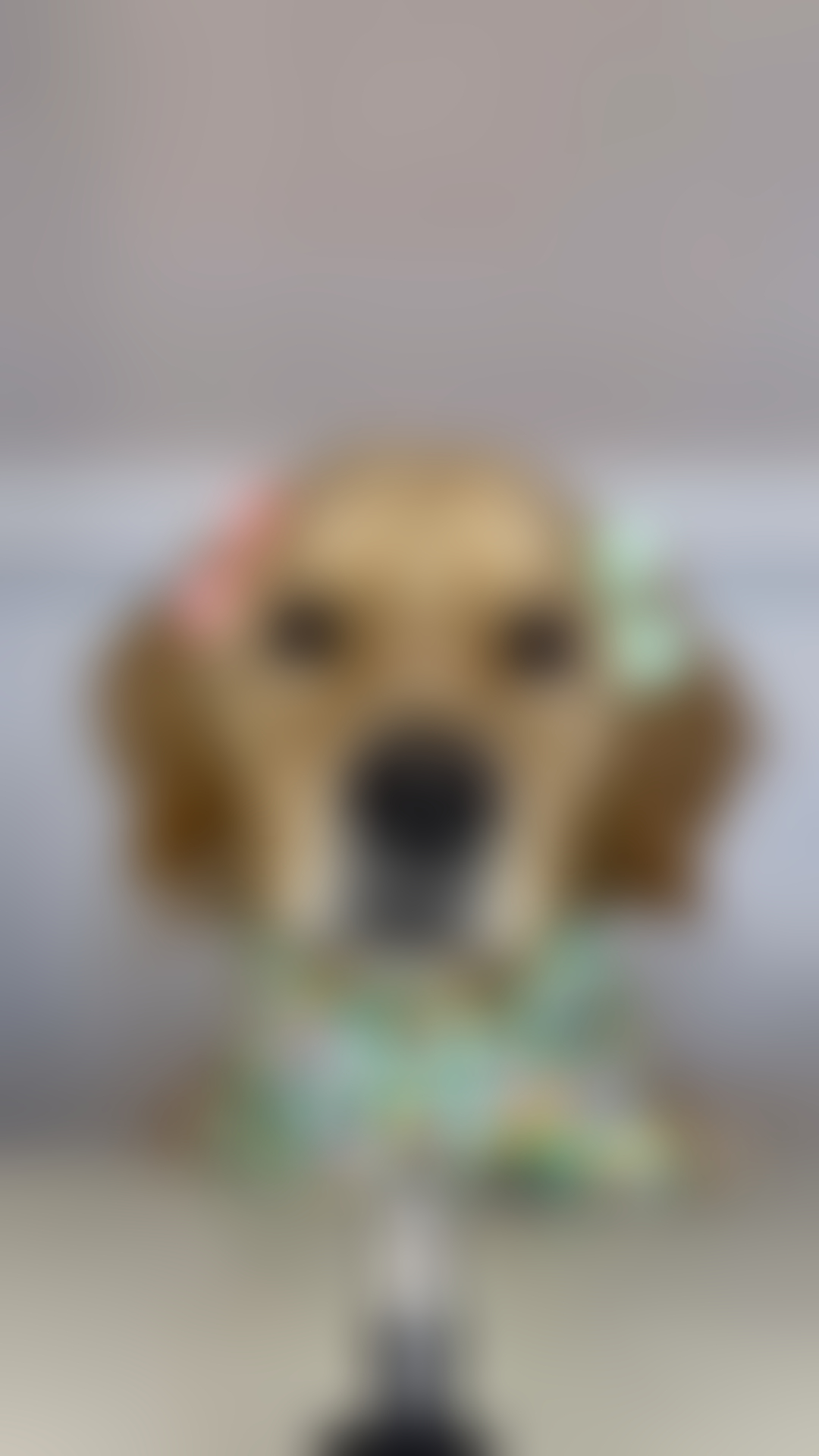 blurred perks background