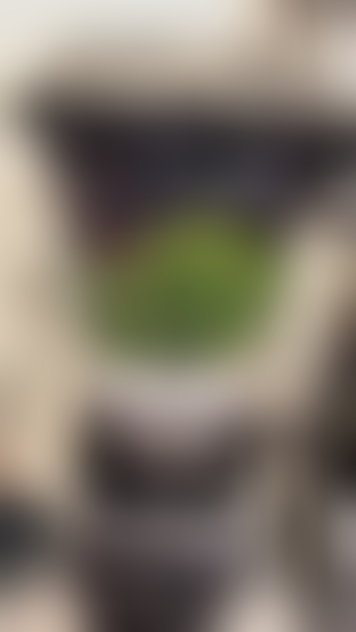blurred perks background