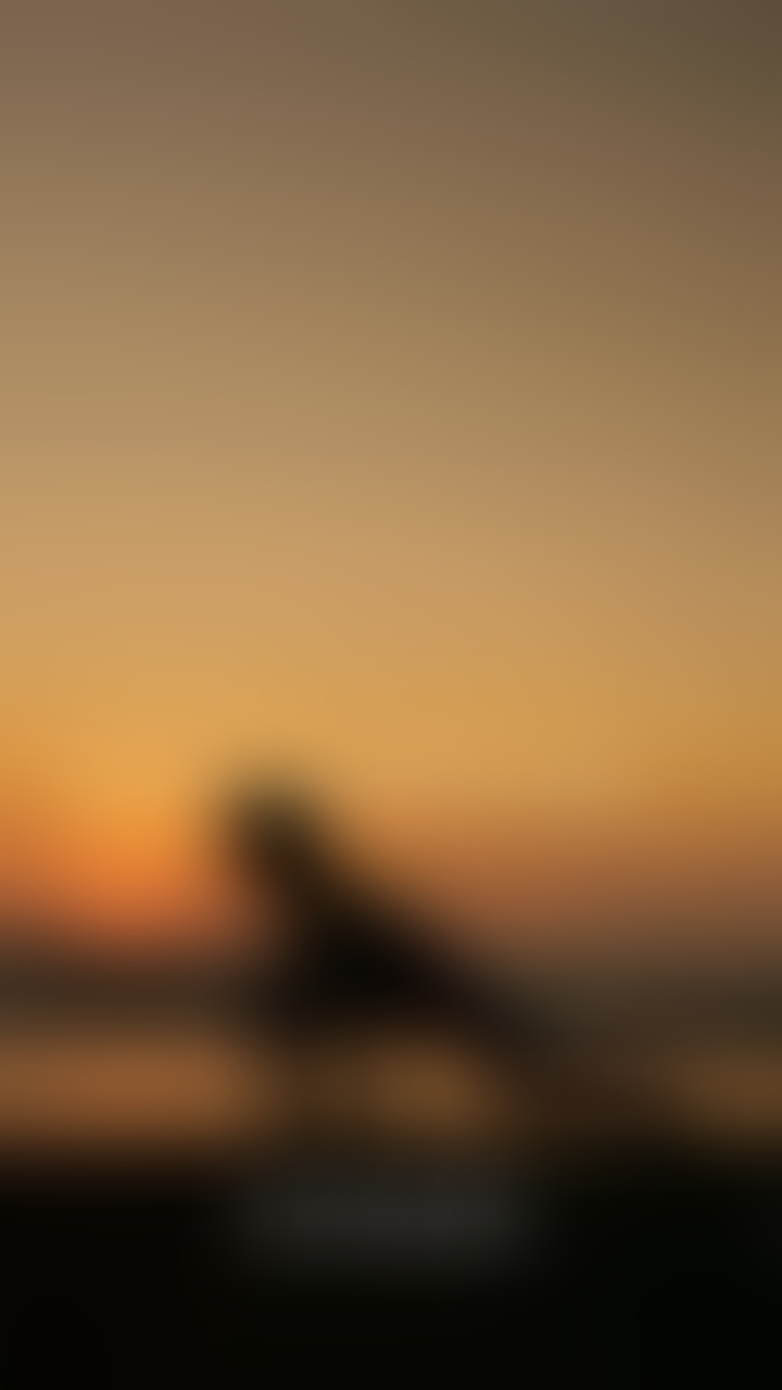 blurred perks background
