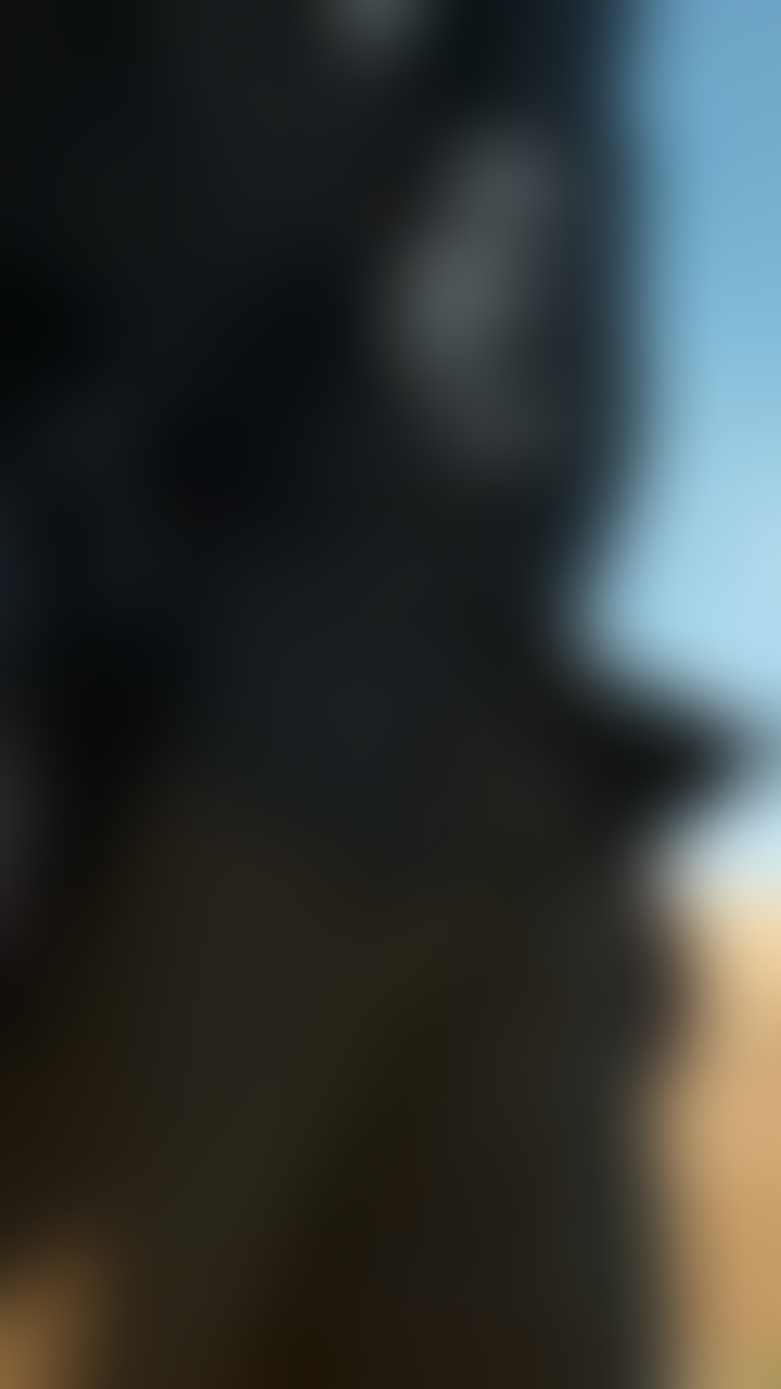 blurred perks background