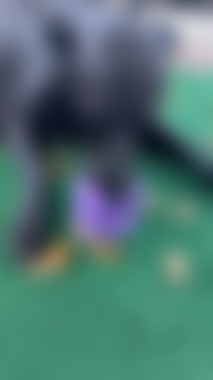 blurred perks background