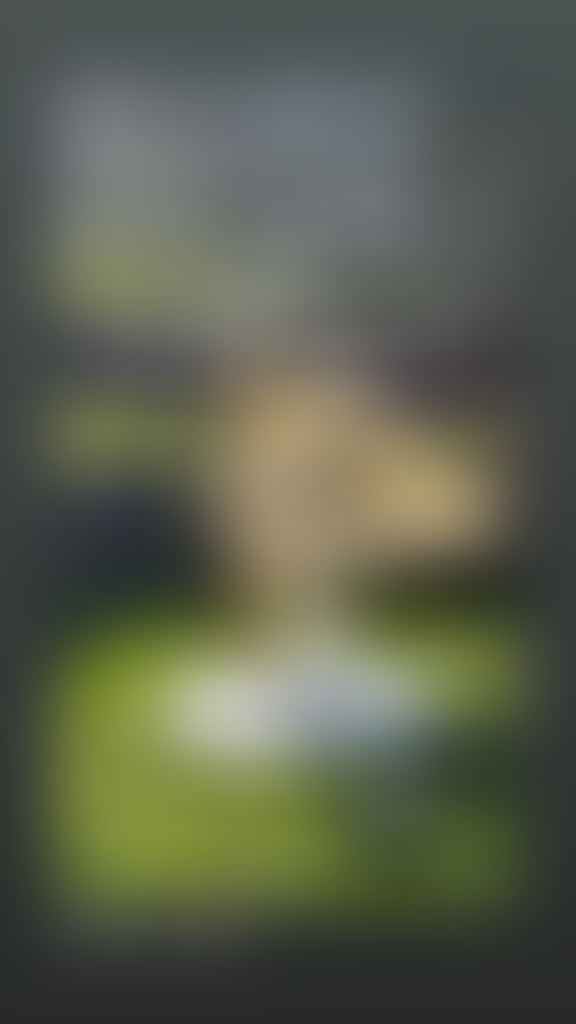blurred perks background