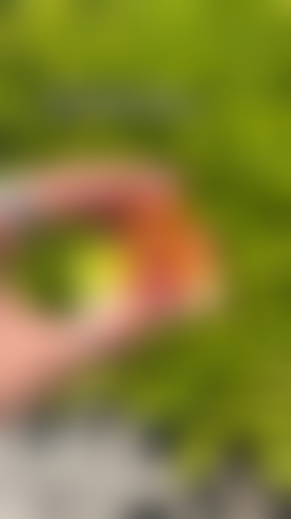 blurred perks background