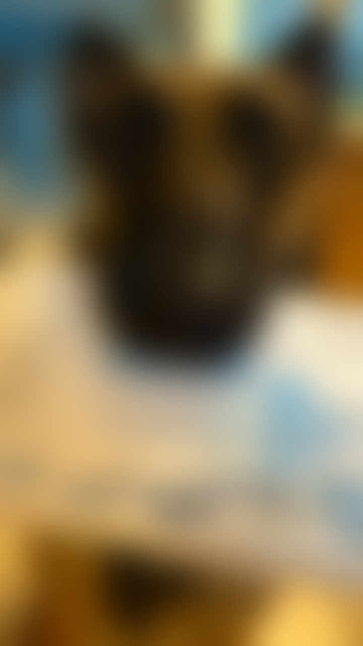 blurred perks background