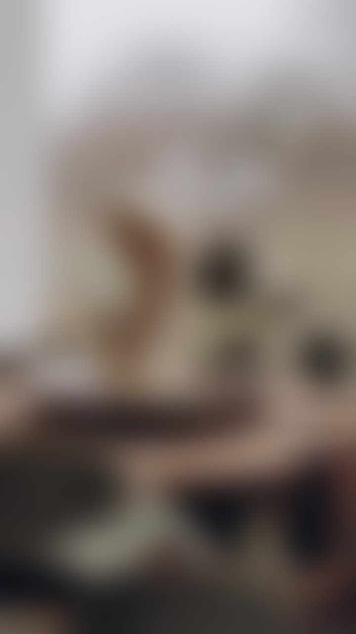 blurred perks background