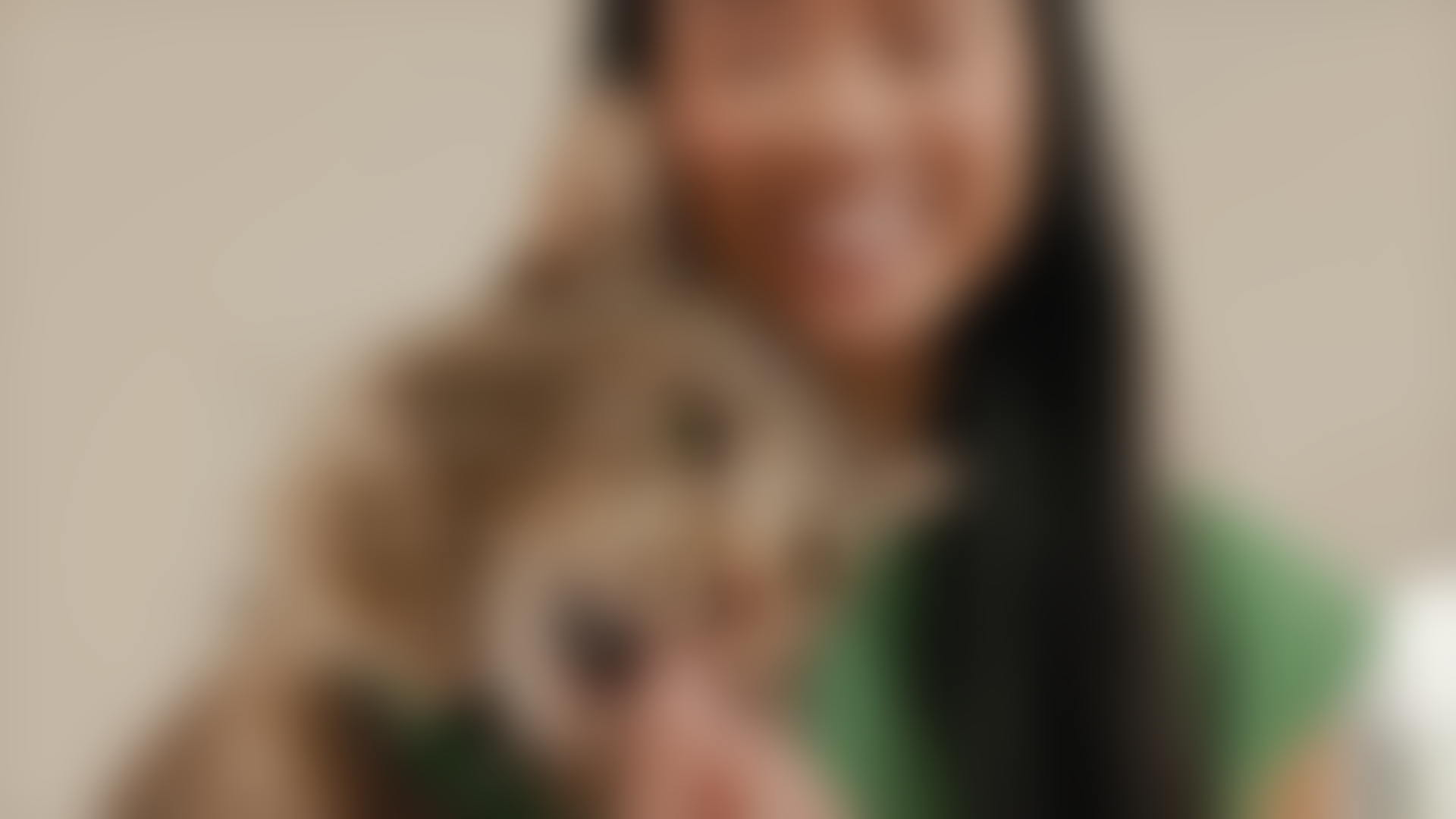 blurred perks background