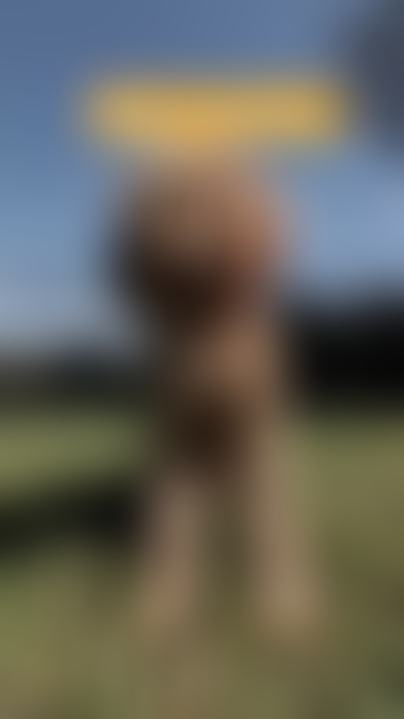 blurred perks background