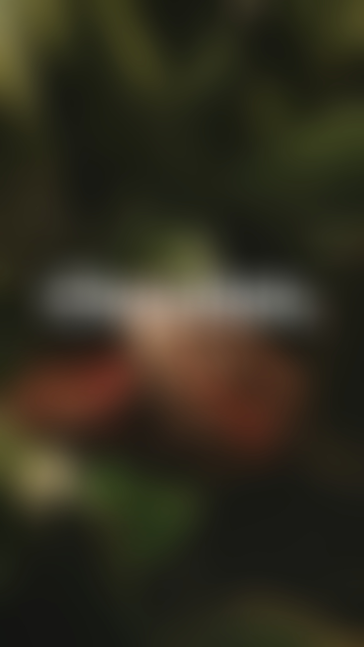 blurred perks background