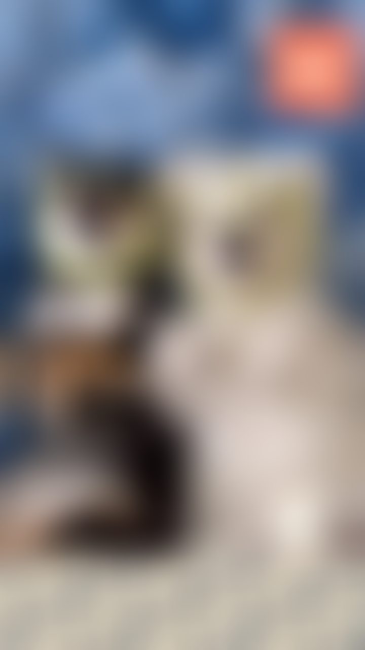blurred perks background