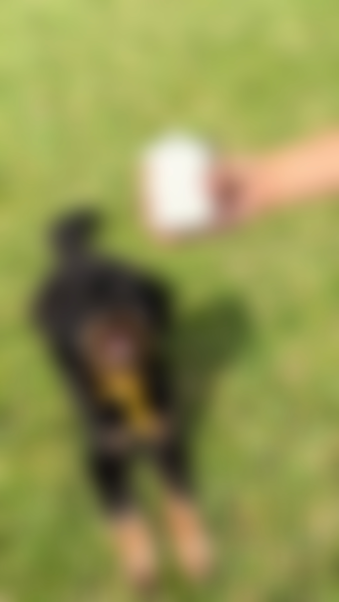 blurred perks background