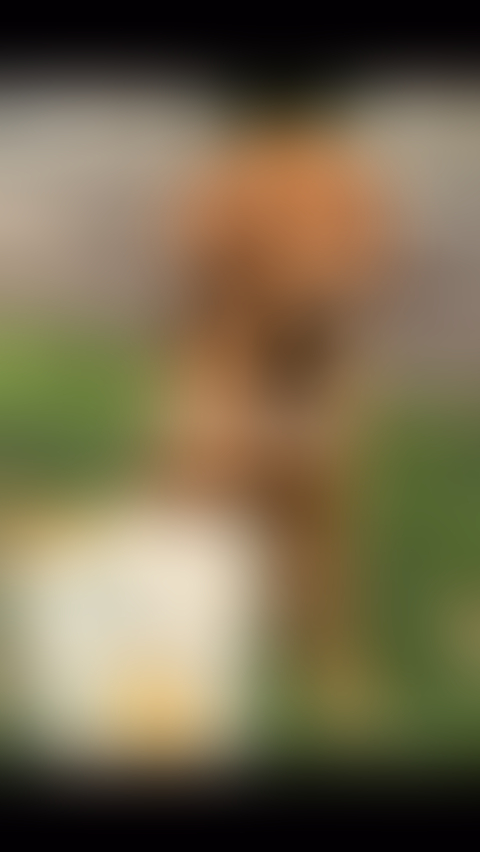 blurred perks background