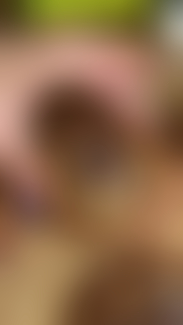 blurred perks background