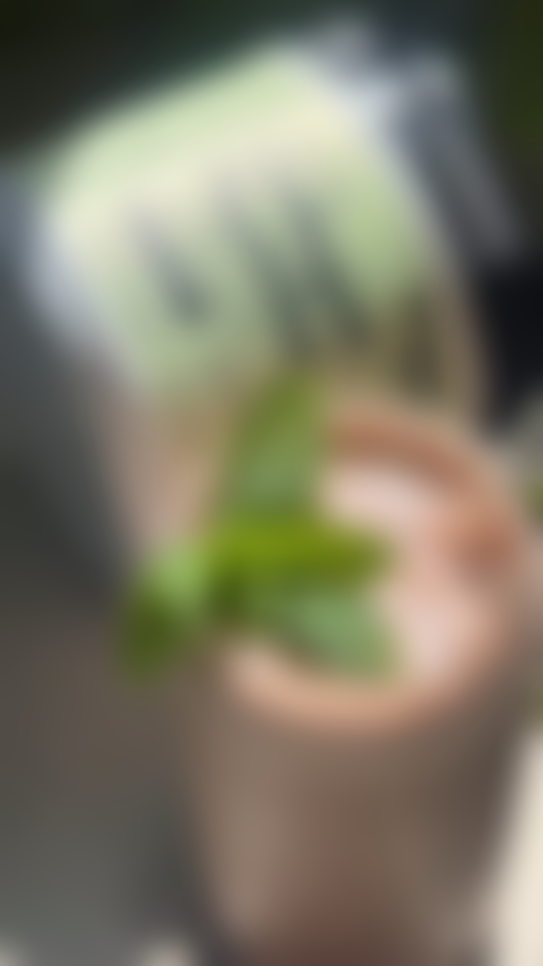 blurred perks background
