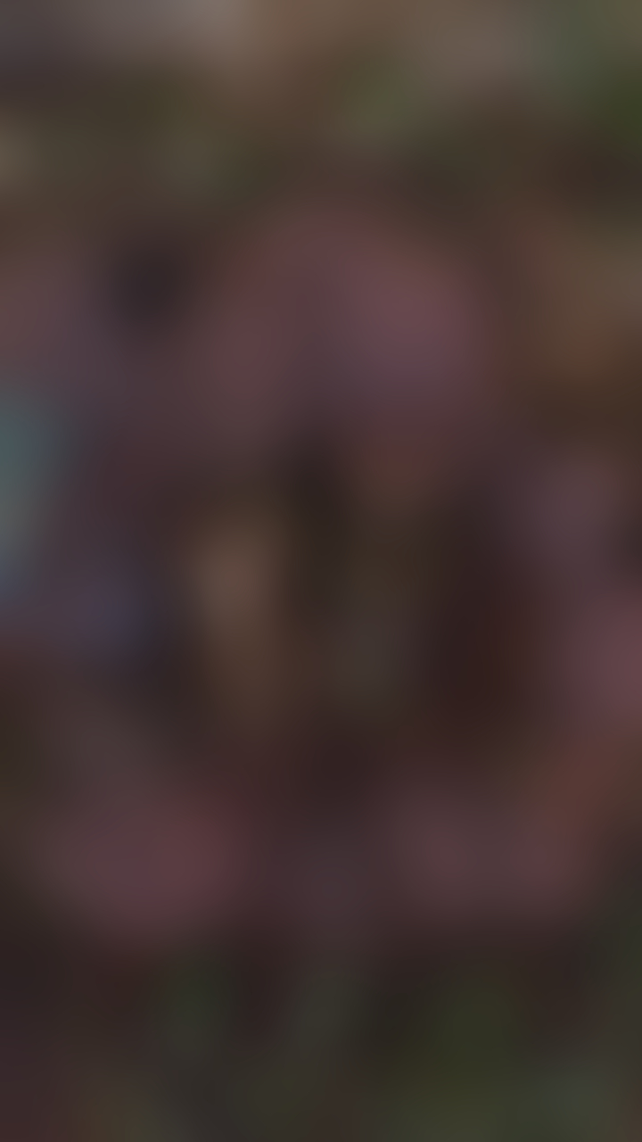 blurred perks background