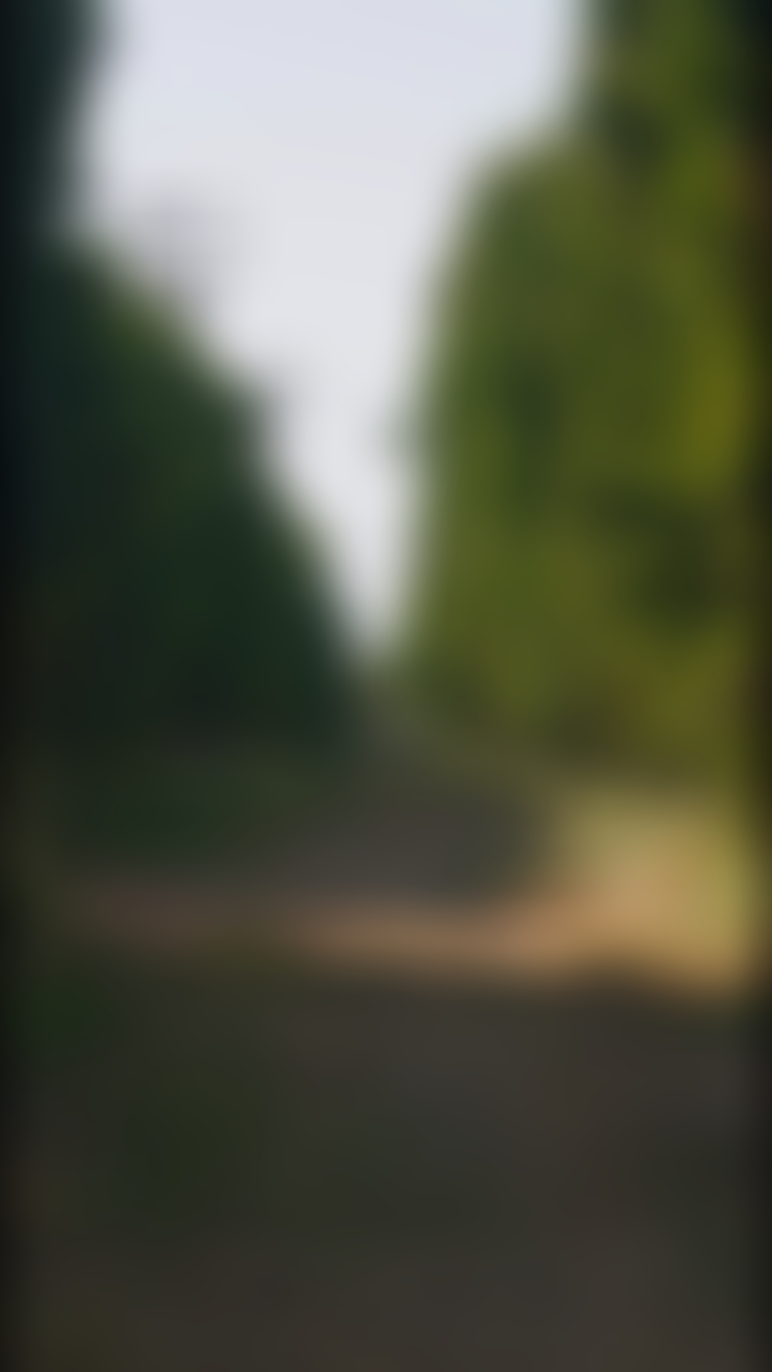 blurred perks background