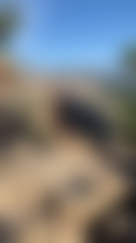 blurred perks background