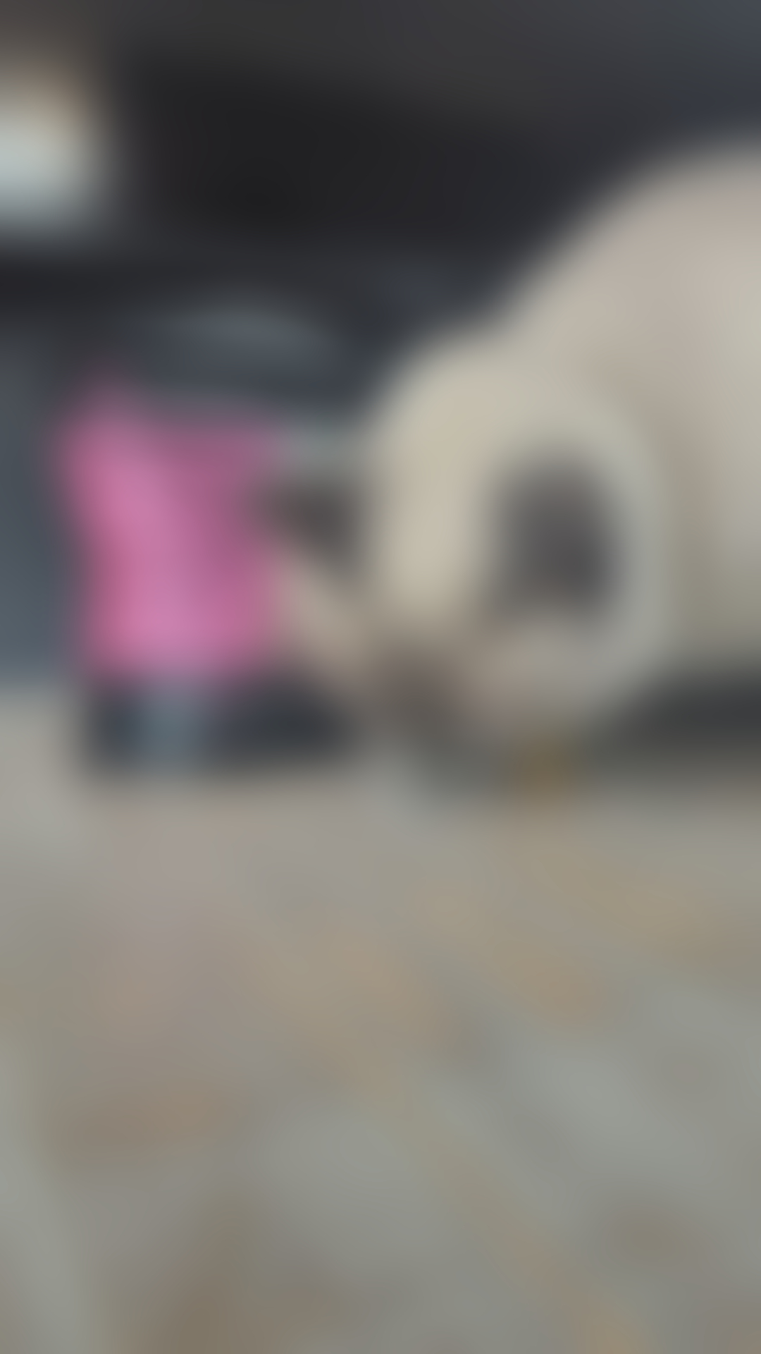 blurred perks background